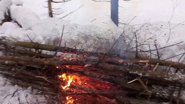 Как замерзнуть зимой в лесу. Очередное вранье от Максима Медведева и Преппера смотреть онлайн