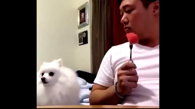 5 минут позитива смотреть онлайн