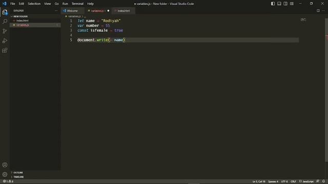 JavaScript Tutorial | Variables In JavaScript