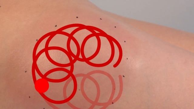 Новые технологии красоты и здоровья на выставке Интерстиль 2019 от компании Неотонус смотреть онлайн