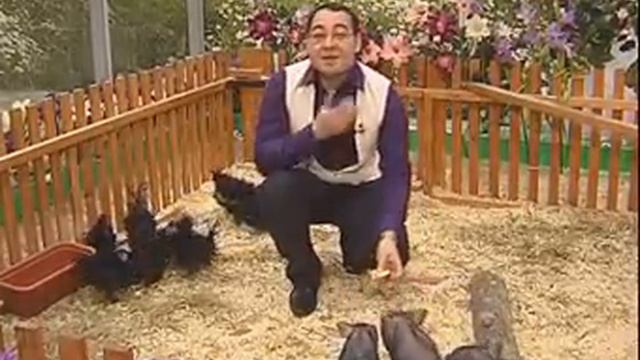 Детский зоопарк смотреть онлайн