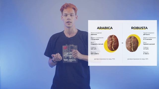 Арабика или Робуста? Какой кофе пьют в офисе AZBOOKA GROUP