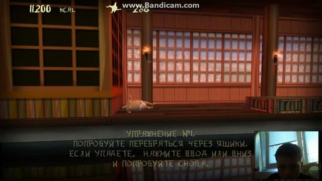 сумотоха смешная игра смотреть онлайн
