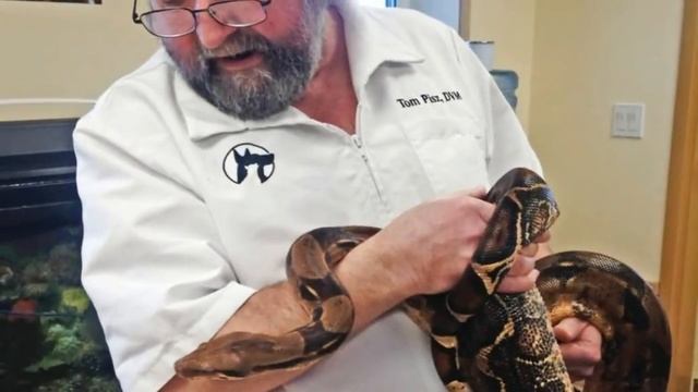 Woman Sleeps With Snake Every Night, Until Doctor Shows Her What's Inside смотреть онлайн