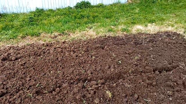 Вспахали мотоблоком огород смотреть онлайн