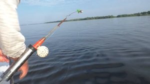 рыбалка  на Волге 2021 лето Лбище