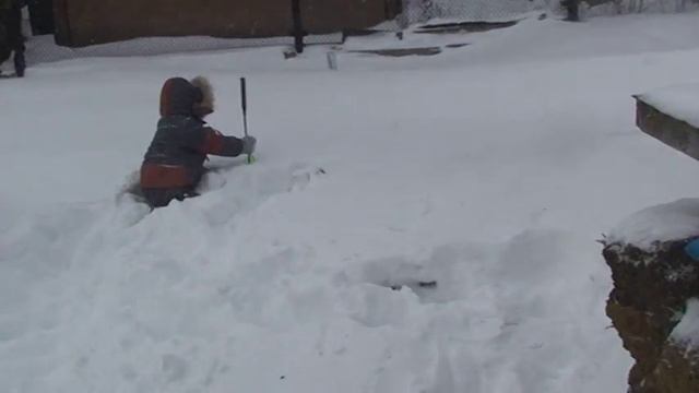 Бордоский дог. Зимняя прогулка. смотреть онлайн