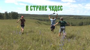 В стране чудес