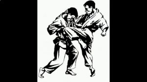 рукопашный бой vs карате