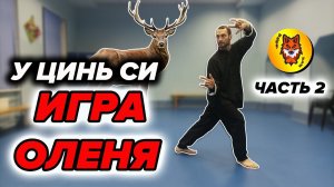 Комплекс Ци Гун "Игра 5 зверей". ОЛЕНЬ