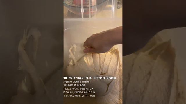 Amaranth bread смотреть онлайн