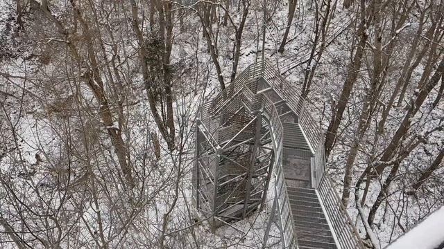Эстония. В гости к старику Валасте . Цветы и пицца от мужа. смотреть онлайн