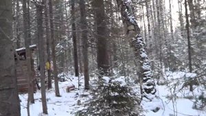 Жизнь в тайге. Охота. Первые соболя. I 18+