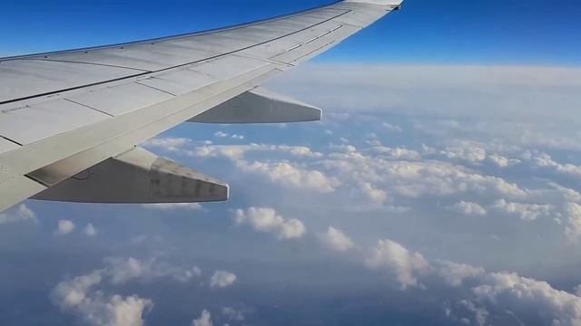 РЕЛАКС ОТ ВЗЛЕТА ДО ПОСАДКИ ЗВУКИ В САЛОНЕ САМОЛЕТА ASMR БЕЛЫЙ ШУМ смотреть онлайн