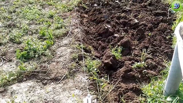 Вспашка земли лебедкой ( Plowing the land with a winch )