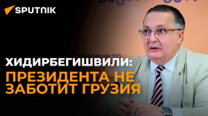 Хидирбегишвили: президента Грузии надо изолировать от власти