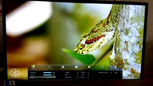 AOC i2269VWM. Самый дешевый IPS монитор! Full HD 60 Hz. Разгон до 75 Hz!