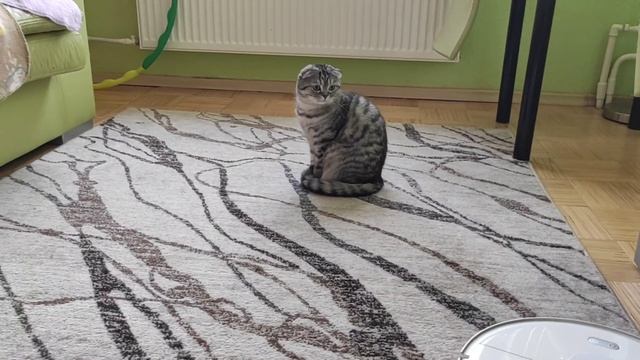 Xiaomi Roborock S5 Max. ШОК. ? Робот пылесос помощник в доме?! смотреть онлайн