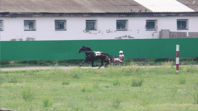 27.07.2024г. Абаканский Ипподром лошади рысистых пород 3-х лет1600м