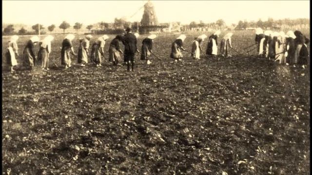 American Sonnet 142 смотреть онлайн