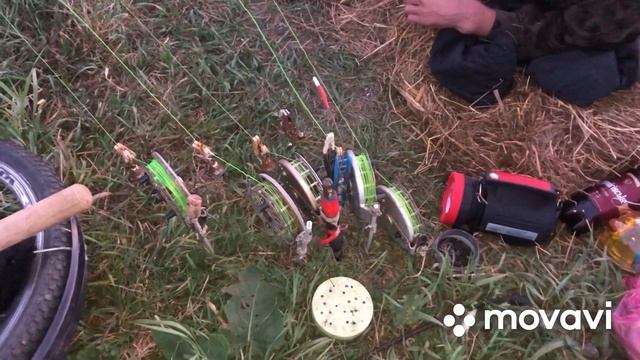 Нестандартно ловит Сома … смотреть онлайн