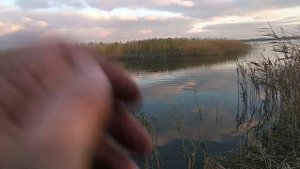 Приманки Gipnoz,Gipnoz long и рыбалка.