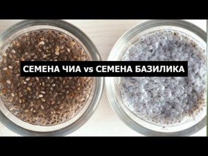 Семена базилика и чиа: сходства и различия