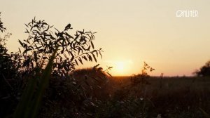 Плохие люди: #монолог охотника о жалости и наслаждении