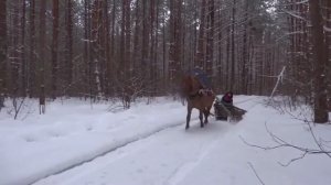 А С Пушкин Зима крестьянин торжествуя