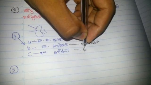 A/L Biology short cuts-මිනිස් වකුගඩු (The kidney) | බහිස්රාවය Episode 4 | смотреть онлайн