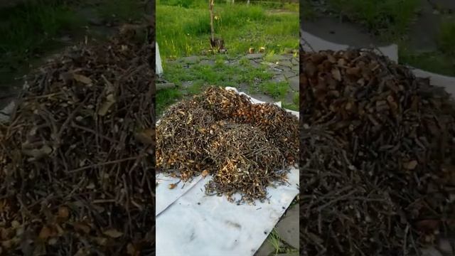 Садовый измельчитель Makita UD2500 смотреть онлайн