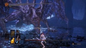 Dark Souls 3: Мидир (Двуручный меч рыцаря Лотрика)