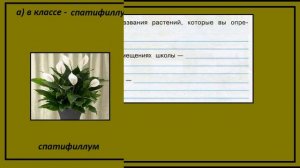 Окружающий мир 3 класс рабочая тетрадь. Разнообразие растений. Все задания