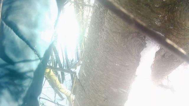 ездели за пихтой как вам? не могу завести мотосабаку смотреть онлайн