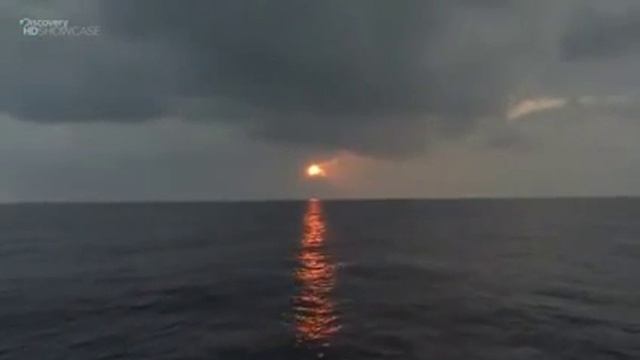 Тонны мусора в Тихом океане