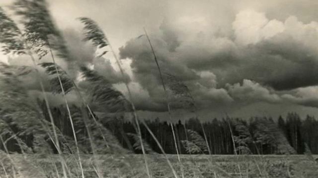 Солнцеворот - Божий воин (кавер Holdaar) смотреть онлайн