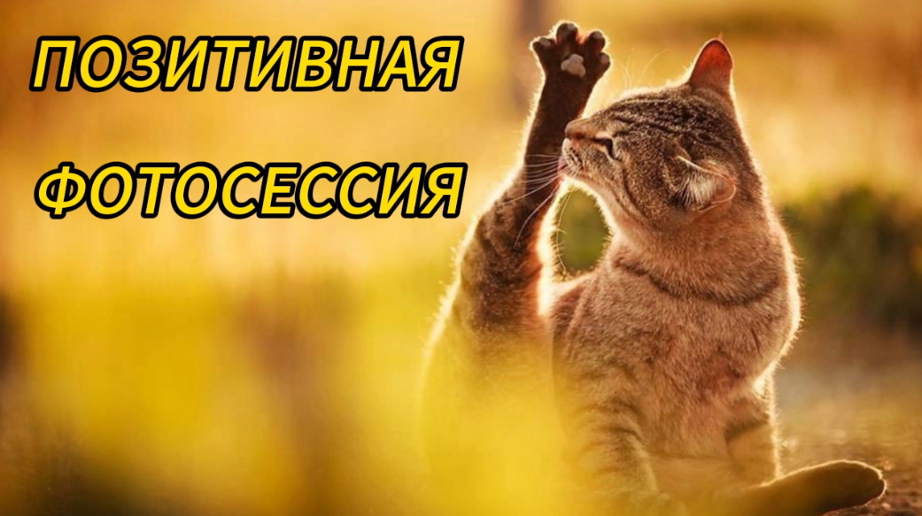 ПОЗИТИВНАЯ ФОТОСЕССИЯ смотреть онлайн