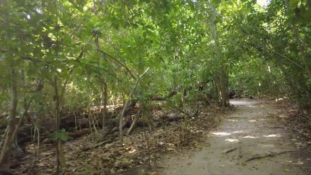 ТОП экскурсия - Семиланские острова - Рай в Тайланде. #тайланд #семиланскиеострова #экскурсия смотреть онлайн