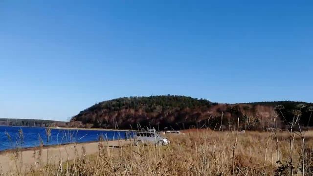 Орланы над озером Изменчивое. Сахалин. смотреть онлайн