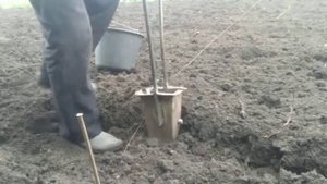Ручная сажалка для картошки .