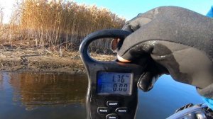 Не рыбалка, а праздник! Дикие караси монстры клюют по два сразу! Ловля карася на блесну!