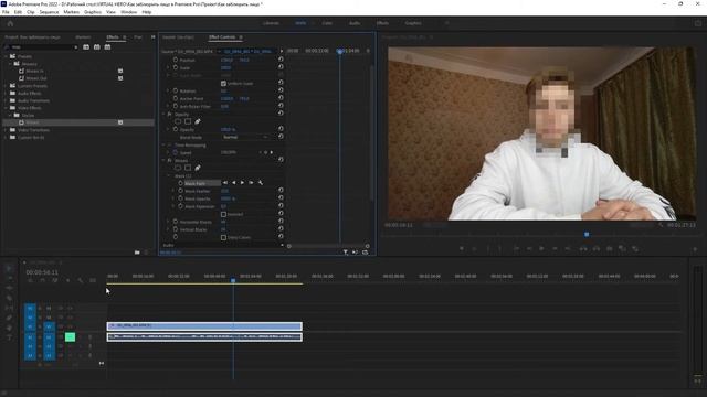 Как заблюрить лицо в Premiere Pro смотреть онлайн