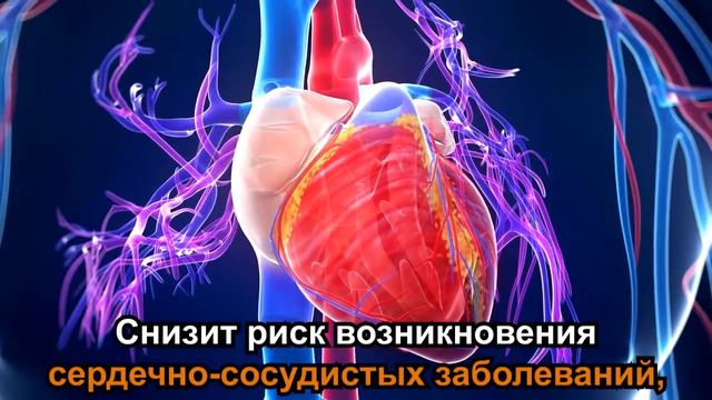 Что происходит с человеческим организмом во время голодания? смотреть онлайн