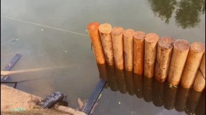 Укрепление берега бревном лиственницы