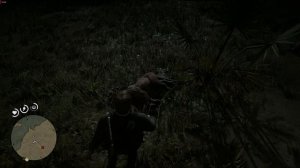 рдр 2 пантера