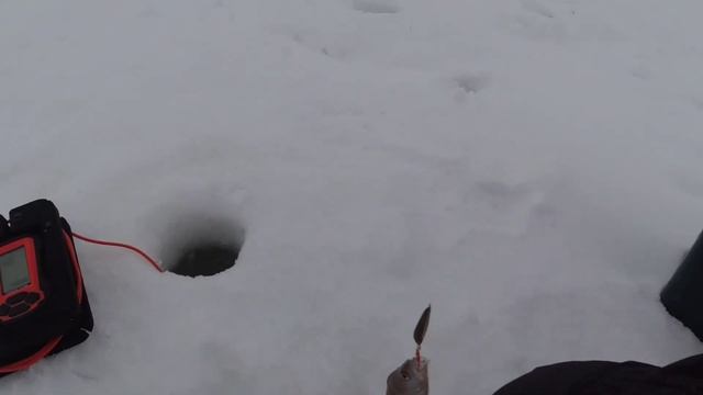 Ловим и жарим мелкого окуня в чешуе. И спасение балансира)) смотреть онлайн