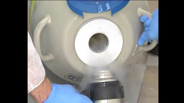 ЭКО в Магнитогорском филиале ДНК Клиники экспертного уровня смотреть онлайн