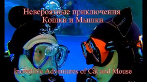 Невероятные приключения Кошки и Мышки