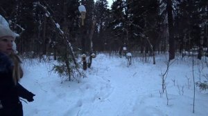 Птичья столовая. Парк Кирова город Ижевск.