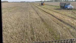 Зерноуборочный комбайн Zoomlion TF 150